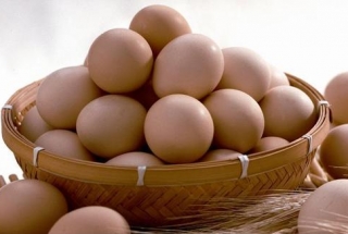 鸡蛋、鸭蛋、鹅蛋、鹌鹑蛋，营养差别这么大